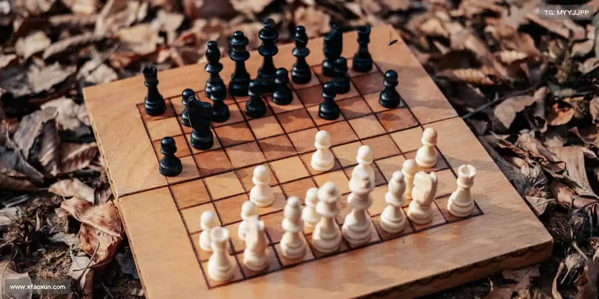 为什么选择我们